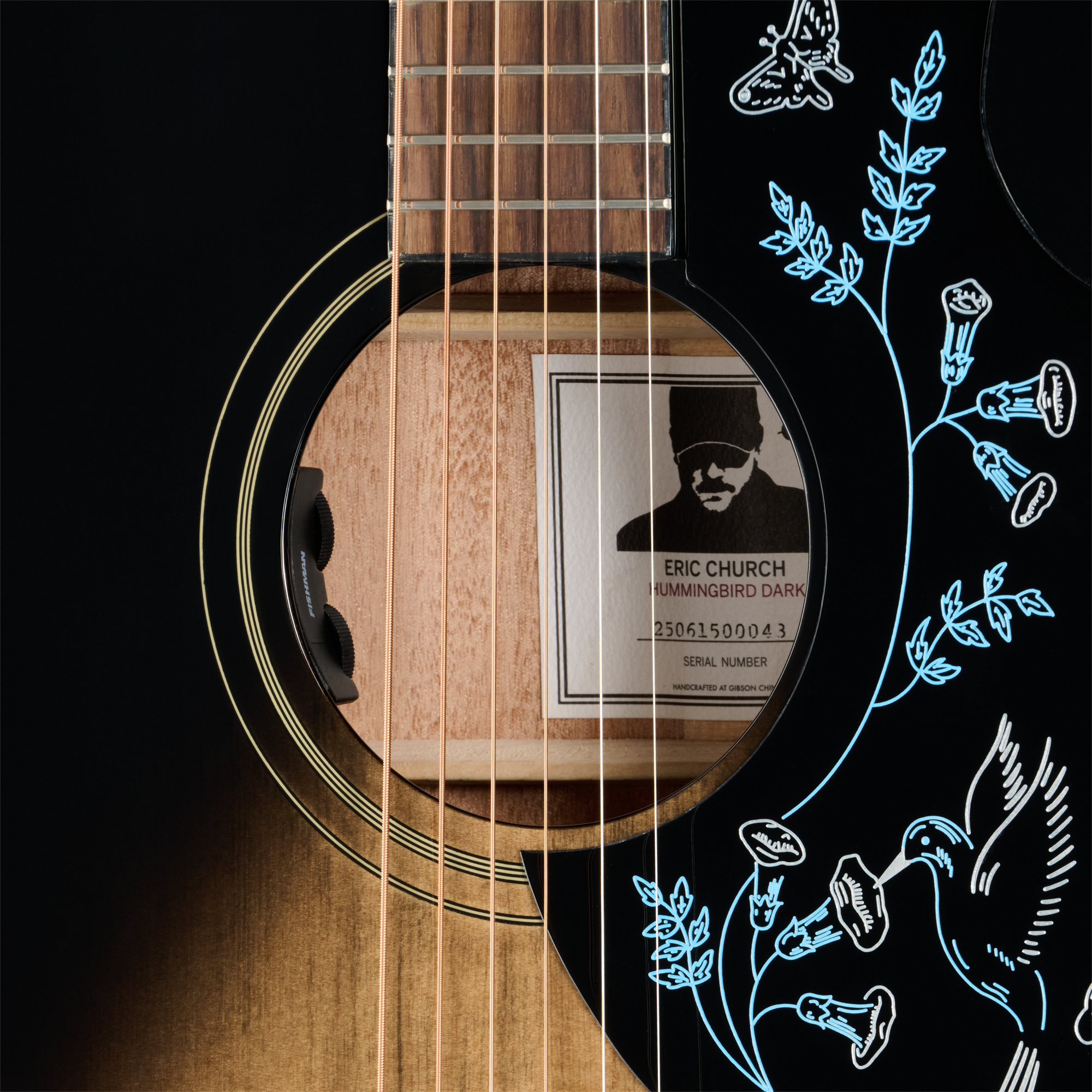 Eric Church Hummingbird Dark Cobra Burst